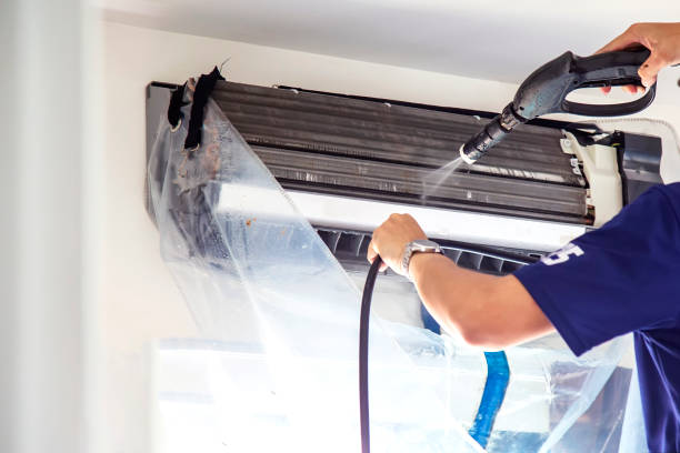 Best Air Duct Sanitizing Services  in Caldwell, ID